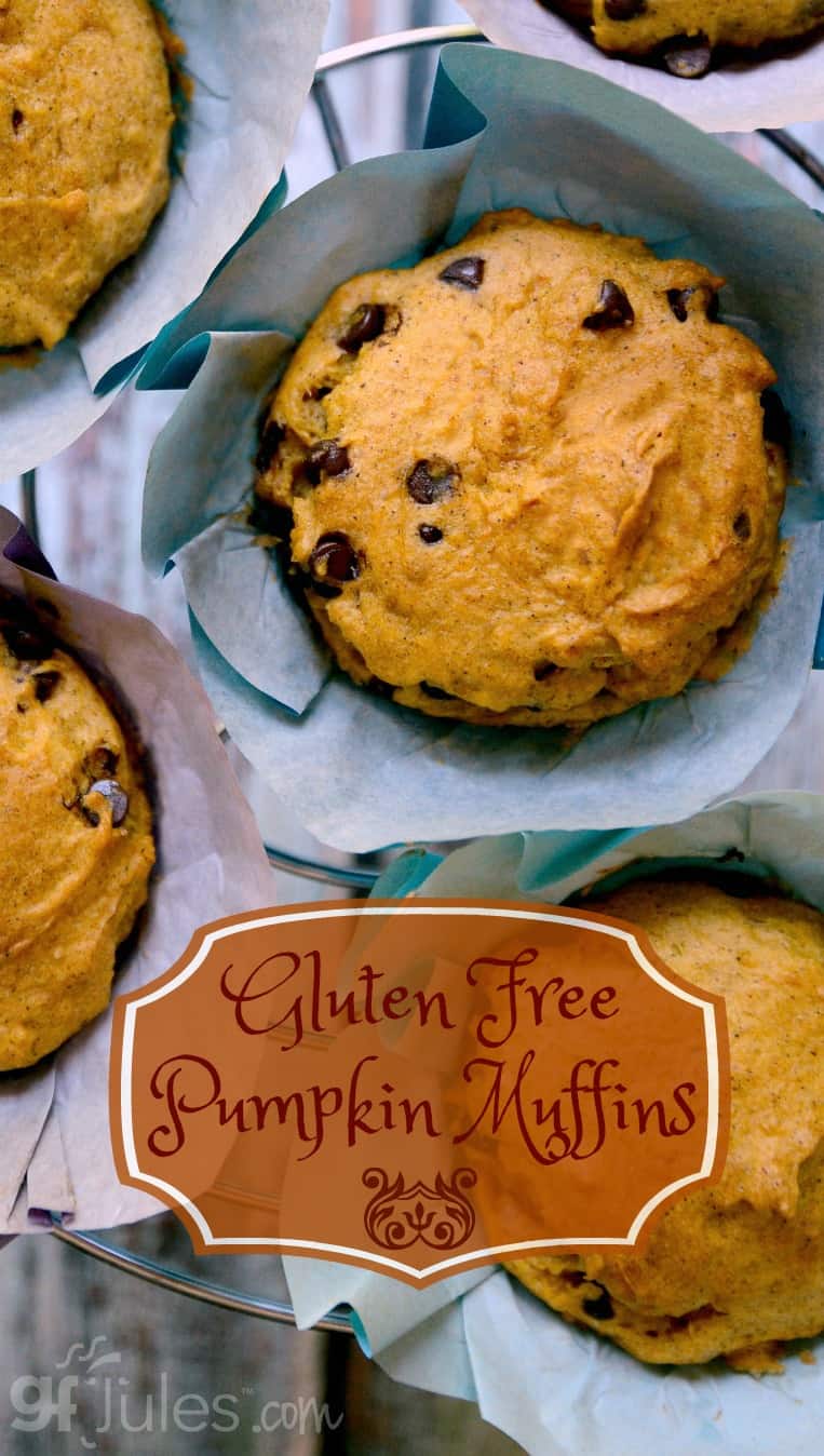 Gluten Free Pumpkin Muffins with Chocolate Chips