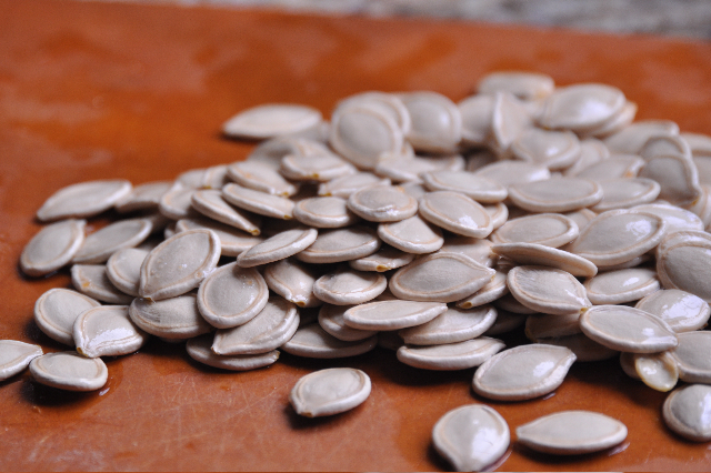 roasted pumpkin seeds