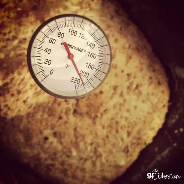 Use an internal thermometer to test your gluten free bread before removing from the oven or bread maker.