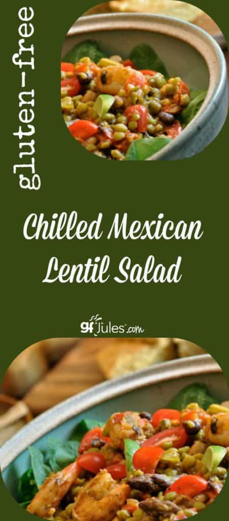 Chilled Mexican Lentil Salad