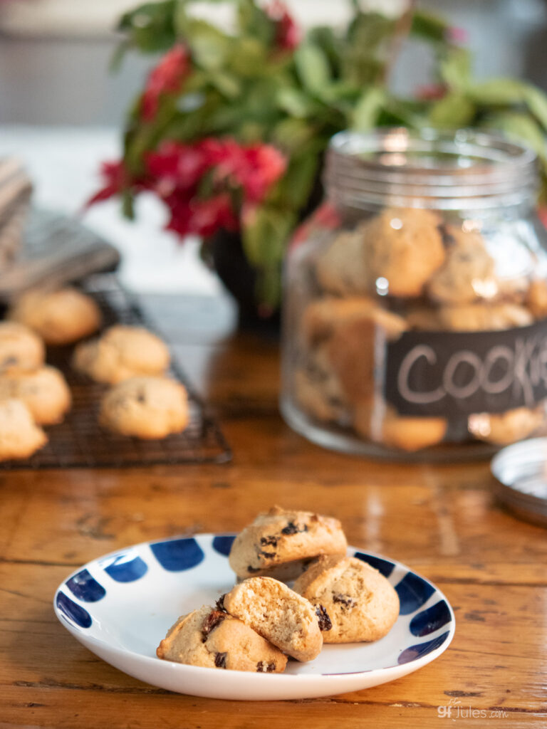 Gluten Free Raisin Drop Cookies on plate with bite