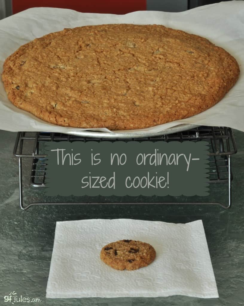 Giant gluten free chocolate chip cookie