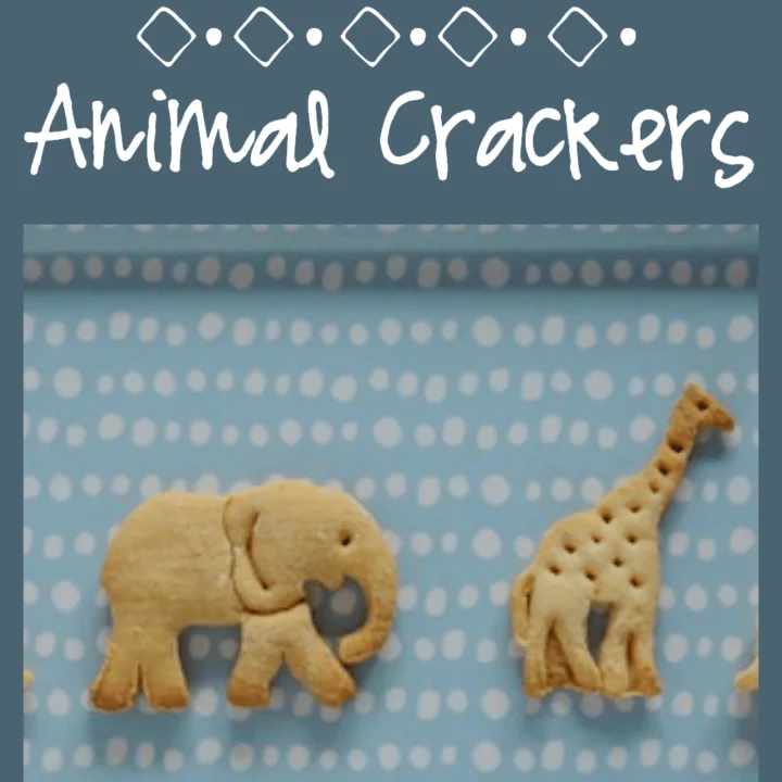 With this homemade gluten free animal cracker recipe, you can have almost as much fun making them as you will eating them!