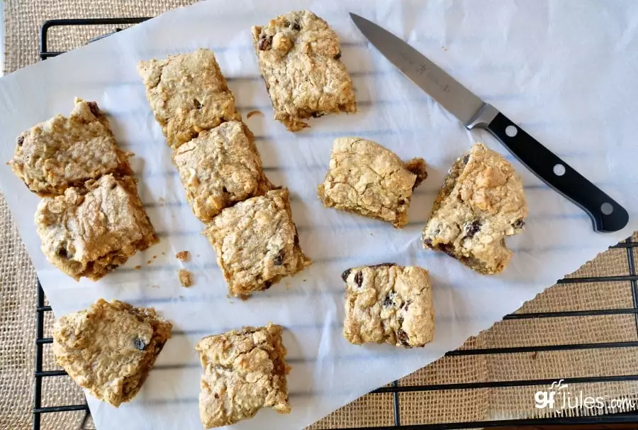 Gluten Free Oatmeal Raisin Bars gfJules