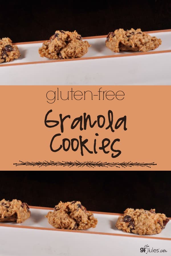 Gluten Free Granola Cookies - gfJules