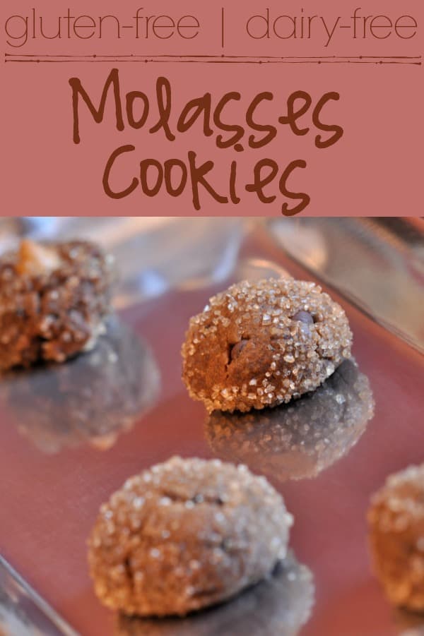 gluten free, dairy free, chocolate, fig, molasses cookies - gfJules