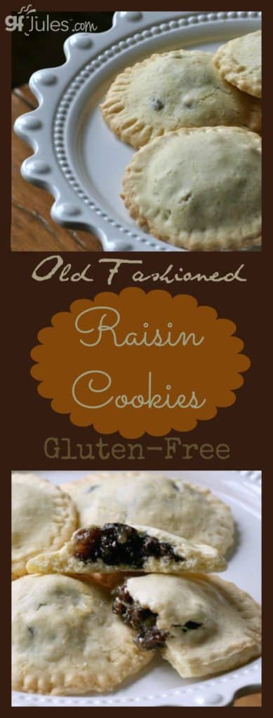 Gluten Free Raisin Filled Cookie Recipe Gfjules Makes Old Recipes New