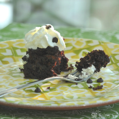 Gluten Free Zucchini Brownies CU