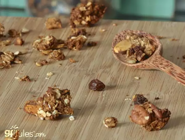 gluten free apple butter granola - gfJules