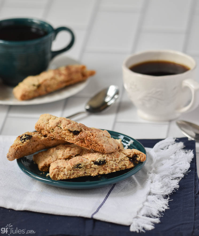 Gluten Free Cranberry Biscotti