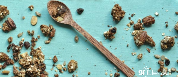 gluten free apple butter granola with spoon - gfJules