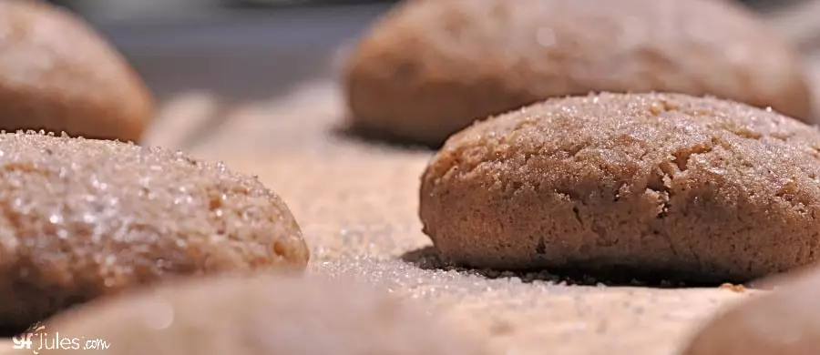 Gluten Free Gingersnaps Recipe