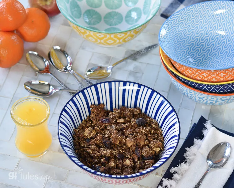 gluten free granola in bowl copy 2