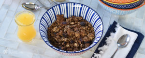 gluten free granola in bowl banner