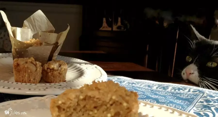 gluten free lemon millet muffin with kitty