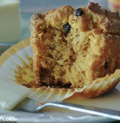 gluten free pumpkin chocolate chip muffin bite - gfJules