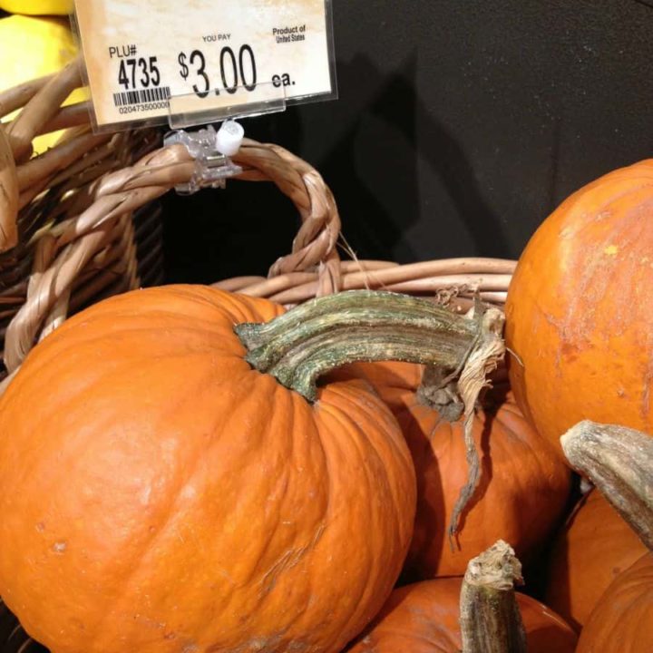 pie pumpkin baking with real pumpkin