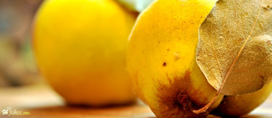 all about quince