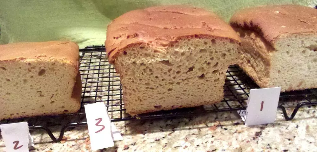 Same gluten free bread recipe using different gluten free flours.