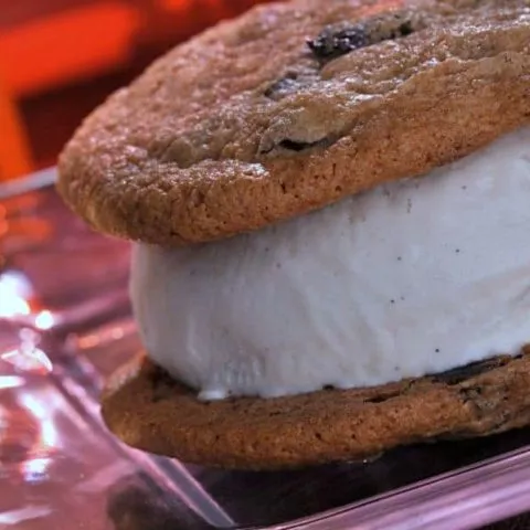 gluten free ice cream sandwich chocolate chip