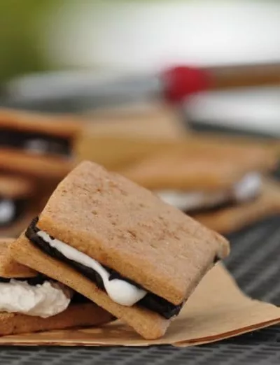 vegan gluten free s'mores cookies