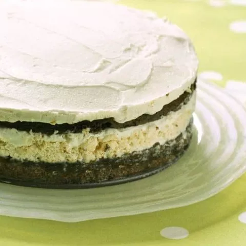 gluten free ice cream cake on polka dots