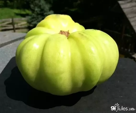 Green tomato