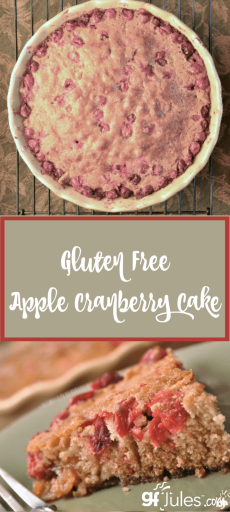 This gluten free apple cranberry cake marries the tart flavors of cranberries with the sweet smoothness of apples into a flavorful, light and moist cake