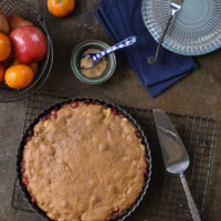Gluten Free Apple Cranberry Cake with fruit | gfJules