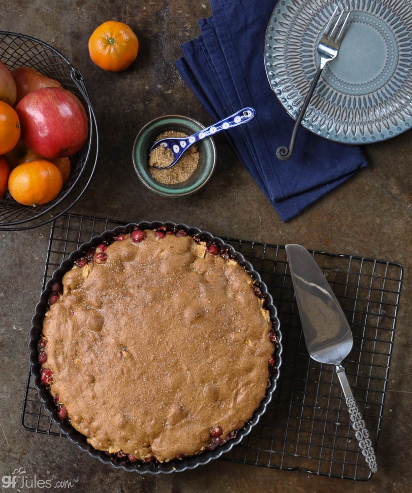 Gluten Free Apple Cranberry Cake with fruit | gfJules