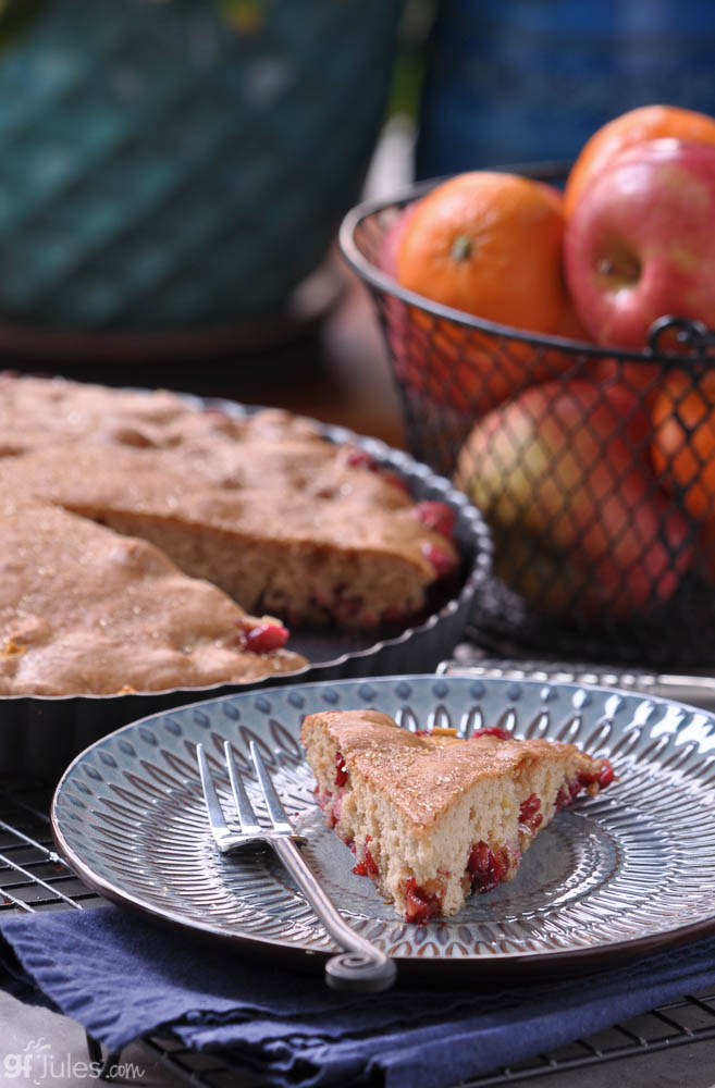 gluten free apple cranberry cake slice vertical | gfJules