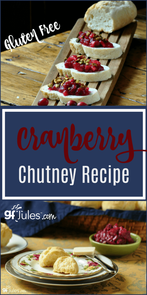 This cranberry chutney recipe is the perfect treat to get you in the mood for the upcoming holiday season! Gluten free and oooh so good!