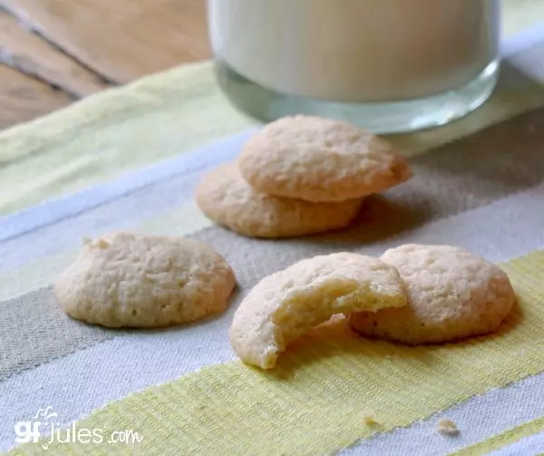 gluten-free-nilla-wafers-with-bite