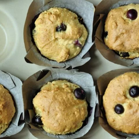 gluten free blueberry muffins in pan - gfJules
