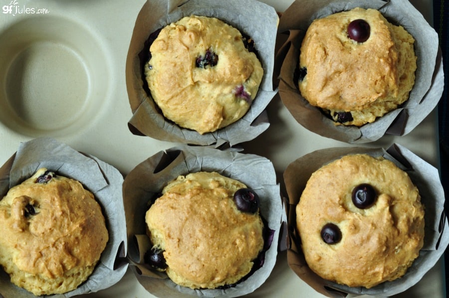 gluten free blueberry muffins in pan - gfJules