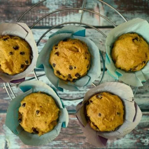 gluten-free-pumpkin-muffins-gfjules