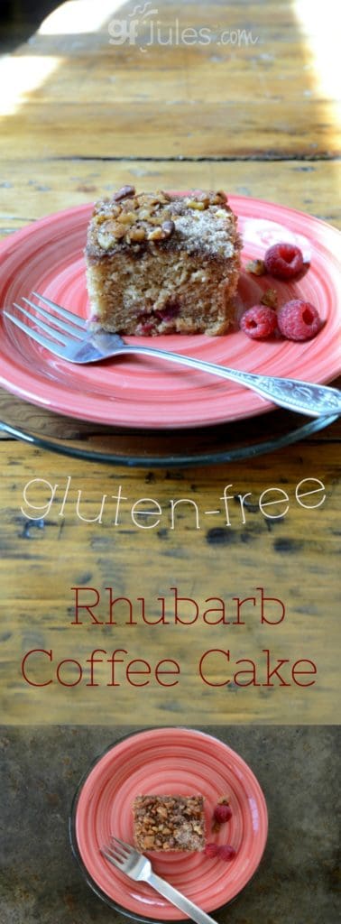 Gluten Free Rhubarb Coffee Cake, light, moist, flavorful -- just like it oughta be, because it's a family recipe! |gfJules.com