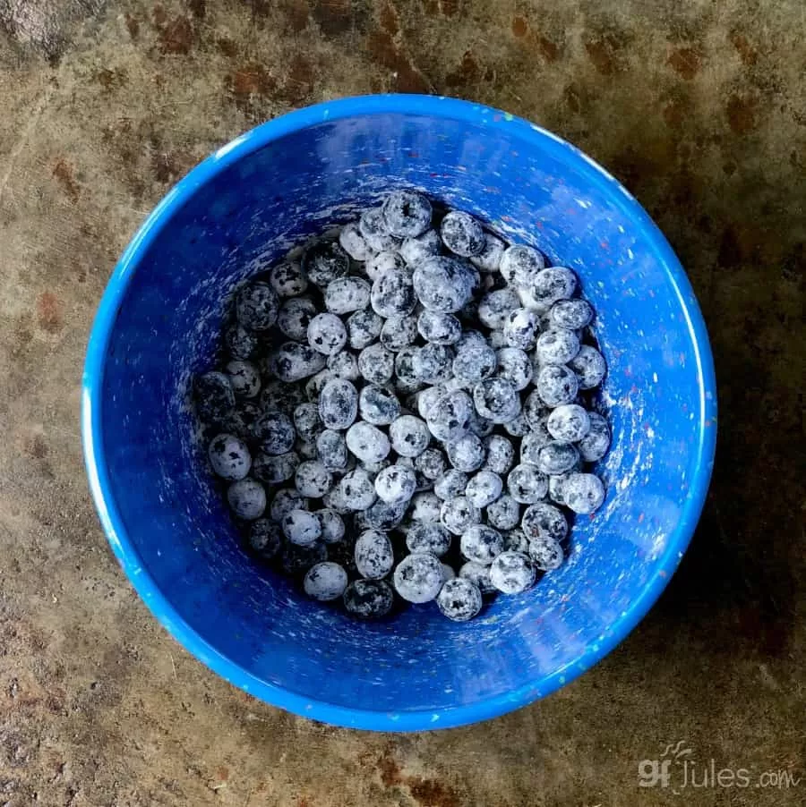 blueberries in gfJules Flour