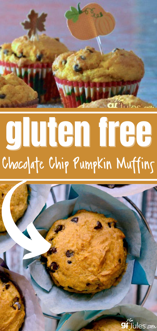 Gluten Free Chocolate Chip Pumpkin Muffins