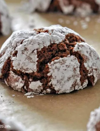 chocolate crinkle cookie square