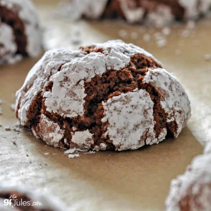 chocolate crinkle cookie square