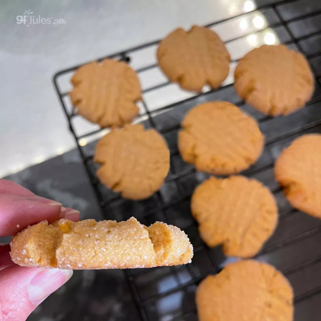 gfJules gluten free Peanut Butter Cookies in hand