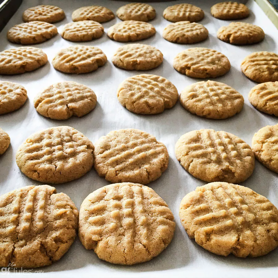 gluten free peanut butter cookies | gfJules