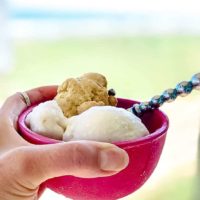 vegan ice cream at the beach