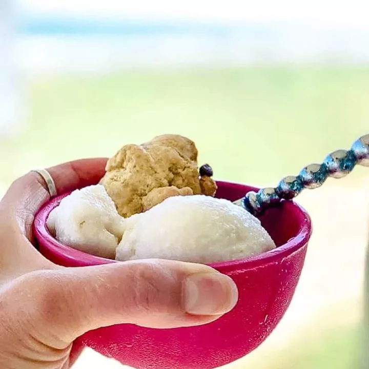 15 Easy Dash Ice Cream Maker Recipes