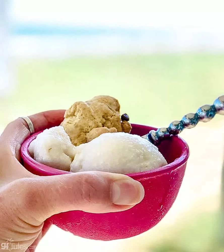 vegan ice cream at the beach