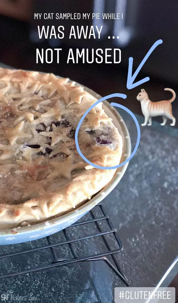 cat ate gfJules gluten free blueberry pie vertical