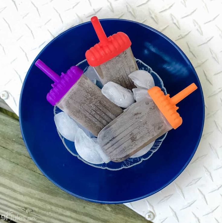 https://gfjules.com/wp-content/uploads/2019/07/vegan-protein-popsicles-2-735x740.jpg