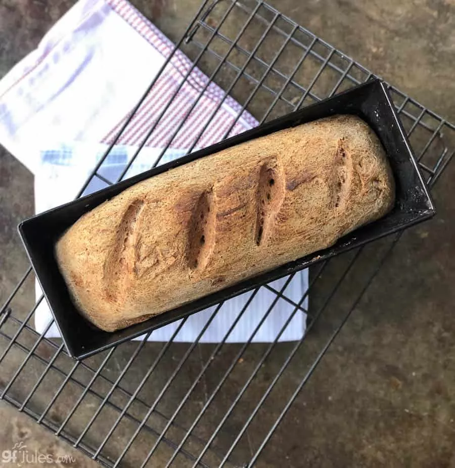 gluten free sourdough baked in pullman pan