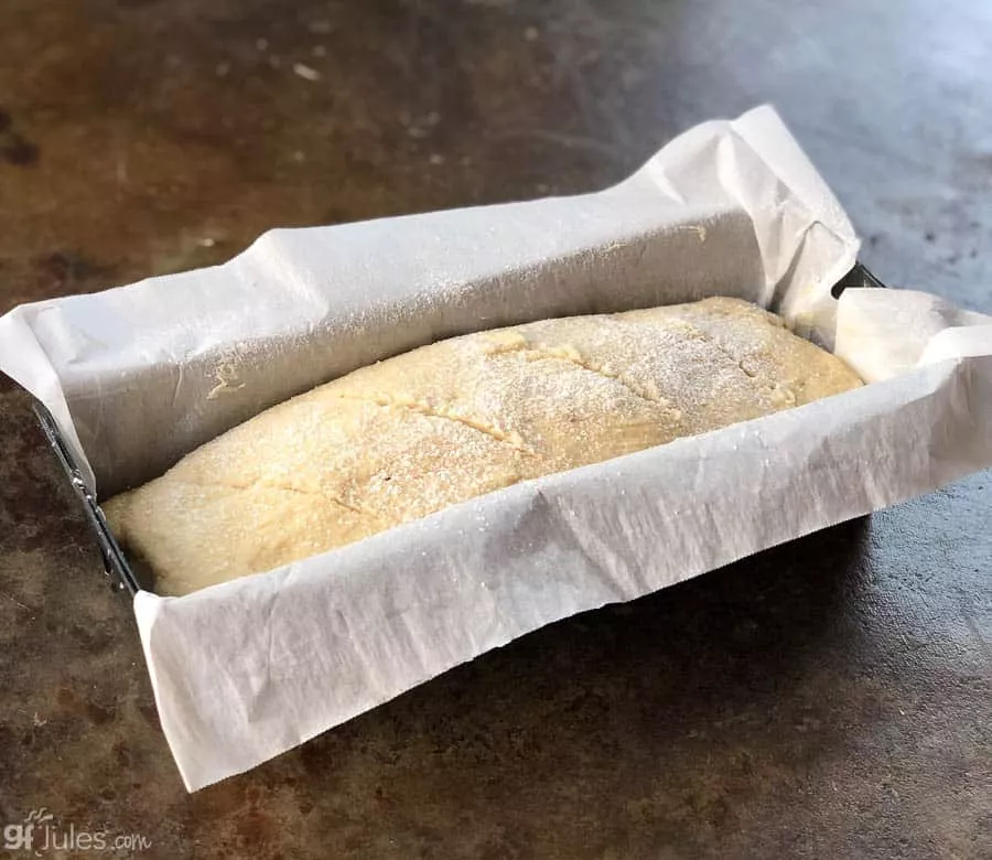 gluten free sourdough dough after rising